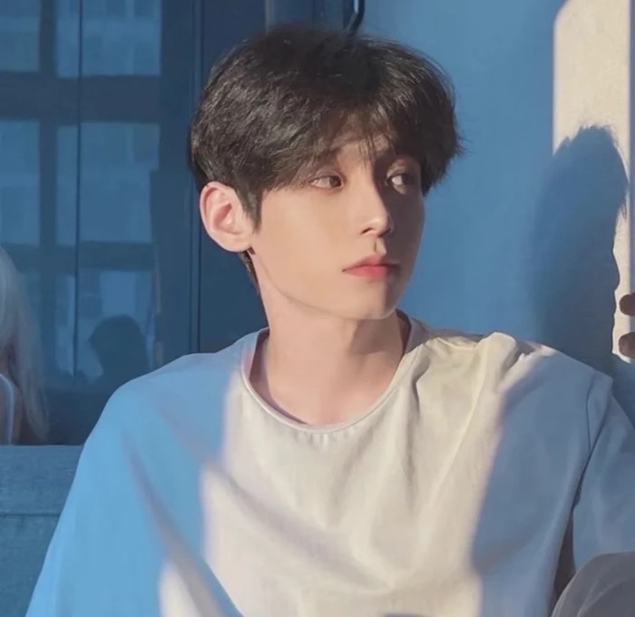 辞宇💛 RVC模型 免费分享 44k  可悄悄话-音创社AI SonoCraft丨科技改变未来