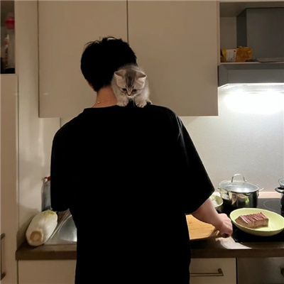 星辰🍨免费模型 RVC男生模型  宽音域 可咳嗽-音创社AI SonoCraft丨科技改变未来