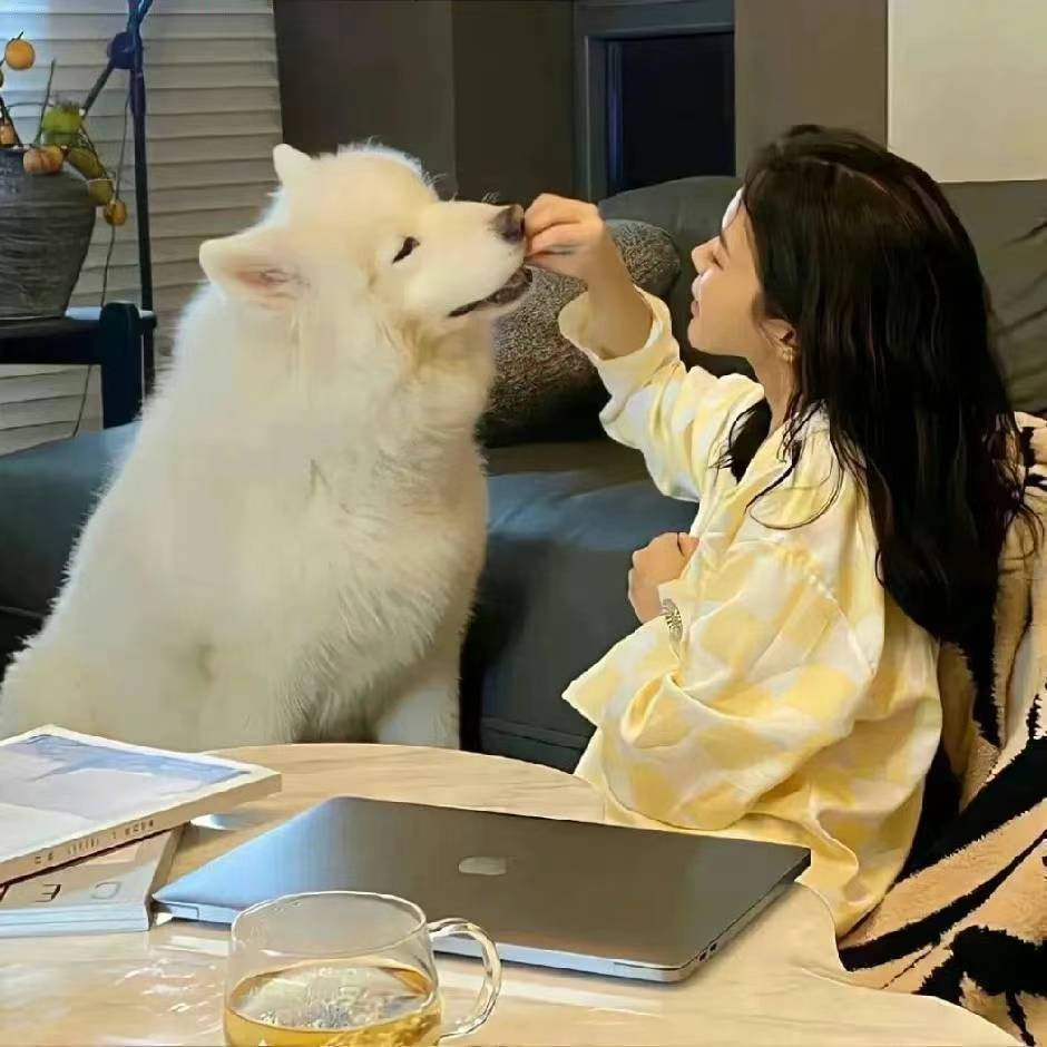 虚白 ⚪RVC女生模型 免费模型 无偿分享-音创社AI SonoCraft丨科技改变未来